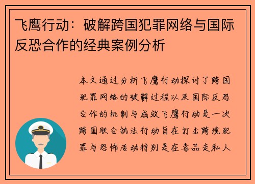 飞鹰行动：破解跨国犯罪网络与国际反恐合作的经典案例分析